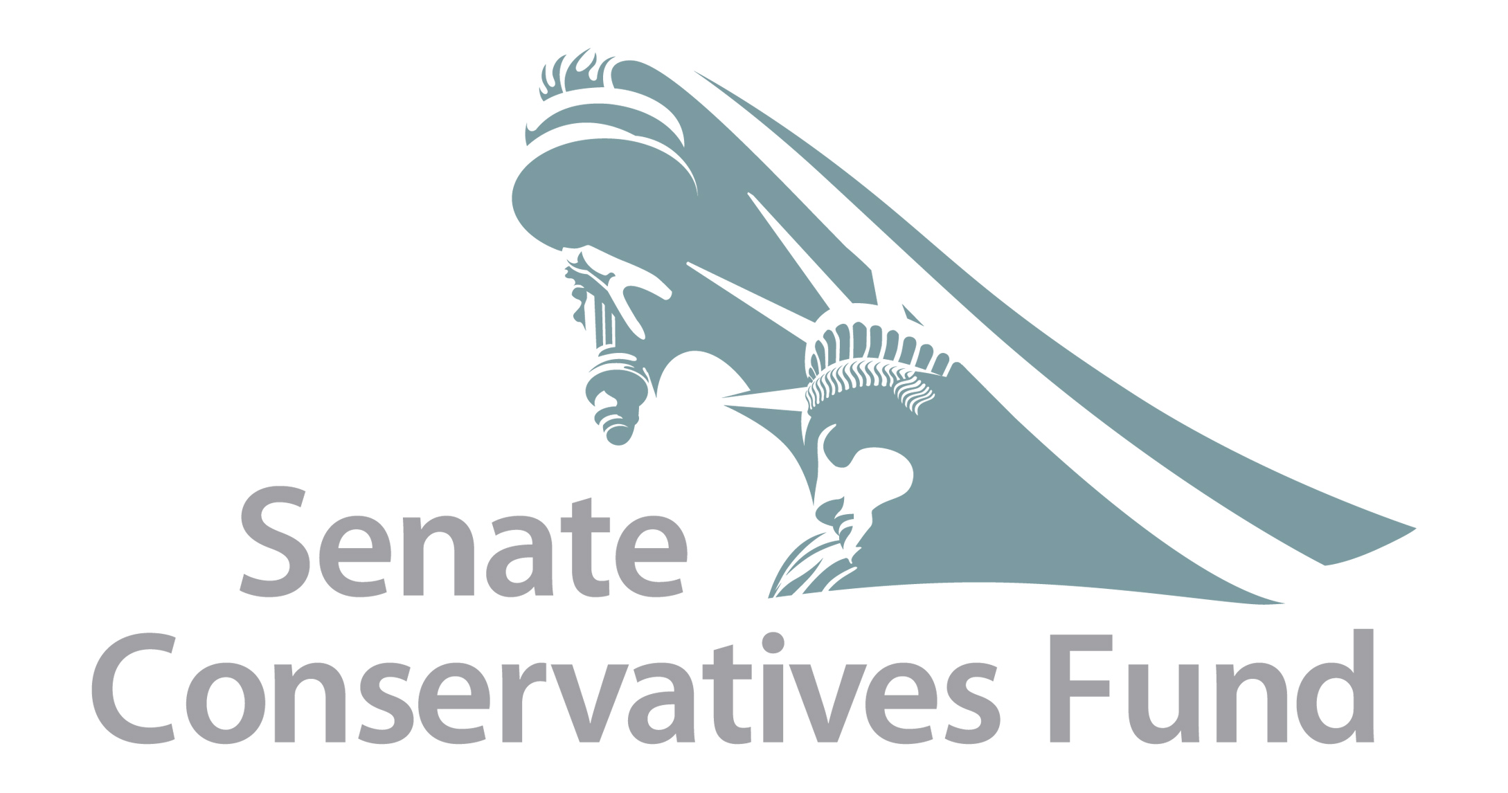 (c) Senateconservatives.com